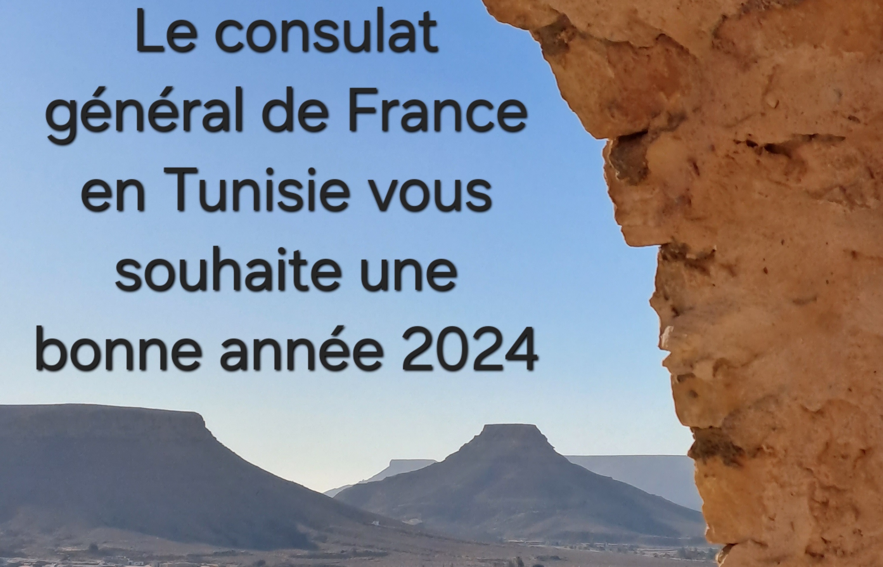 Bonne Ann E 2024 La France En Tunisie   Arton1682 